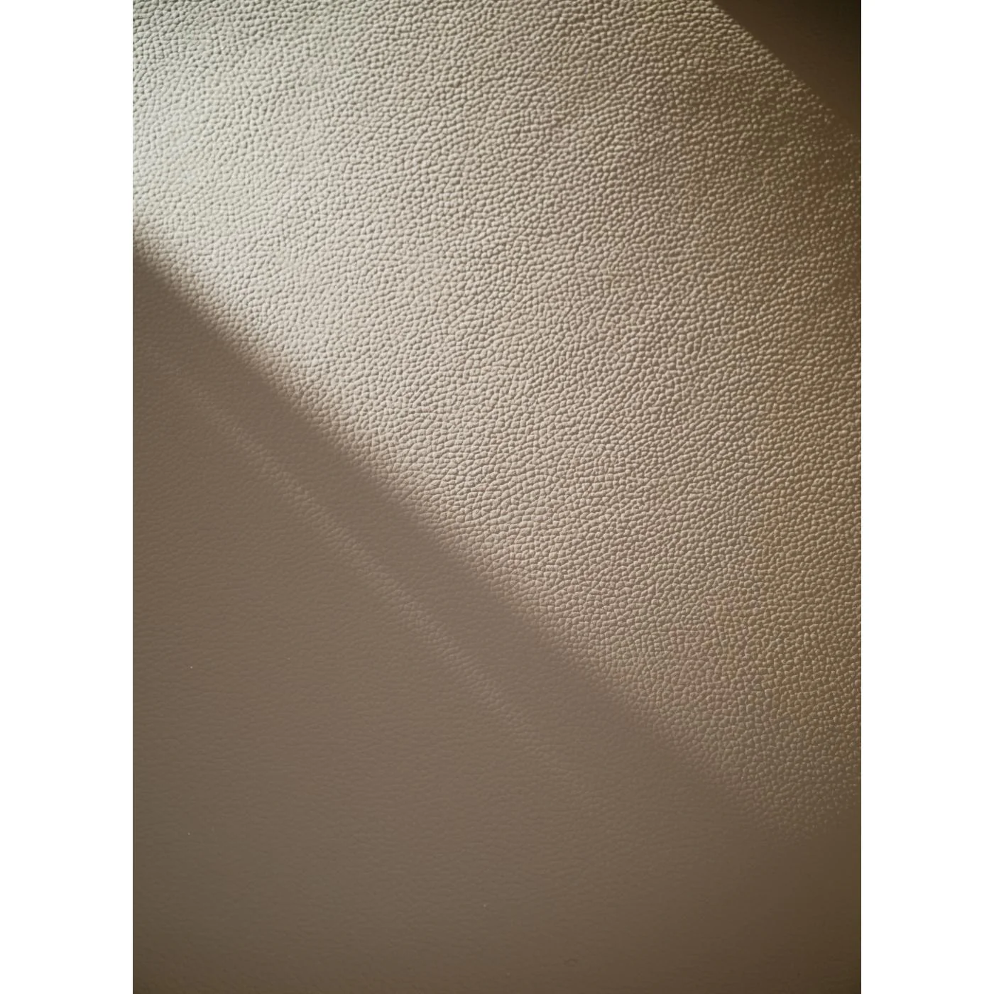Alison tuoli valkolakattu tammijalka / beige nahka - Image 11